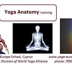 Yoga Anatomy Training