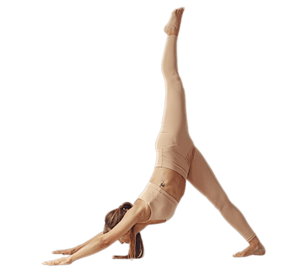 Yoga Europe - Teacher Training Mission